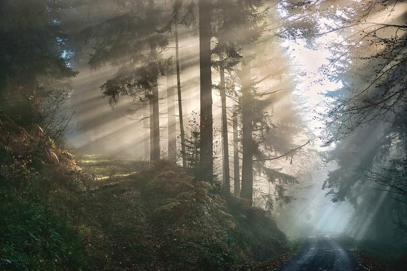 Mystical Murmurs